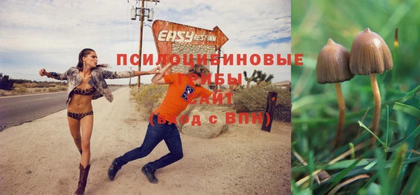 соль ск Наволоки