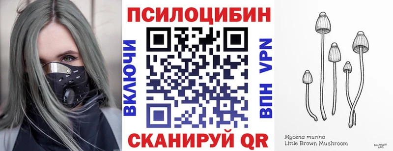 Купить  Инза  Галлюциногенные грибы Psilocybine cubensis 
